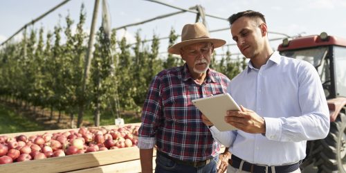 Senior farmer and sales representative talking over digital tablet on apple orchard
